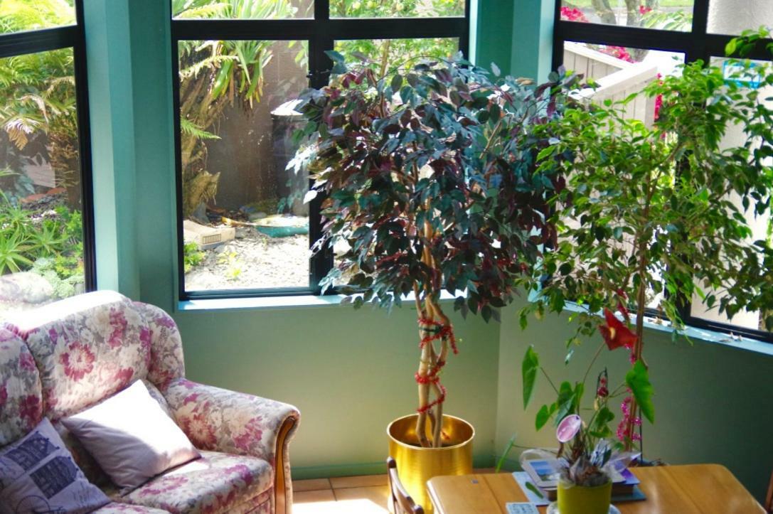 Hamilton East Homestay Bagian luar foto